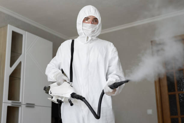 Best Basement Mold Removal  in Cary, IL